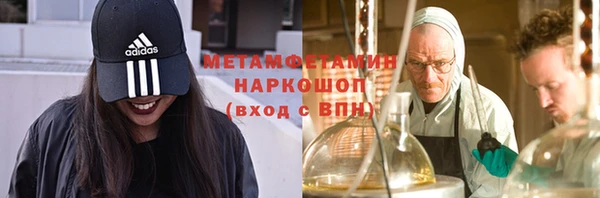 прущие грибы Покачи