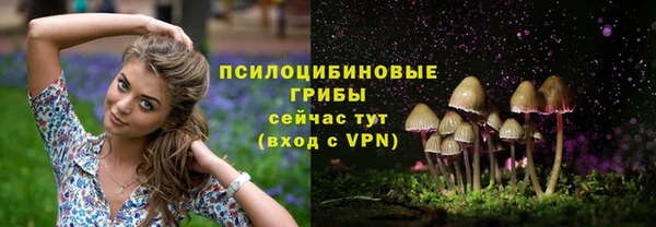 ПСИЛОЦИБИНОВЫЕ ГРИБЫ Армянск