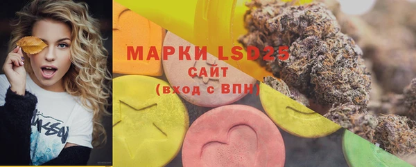ПСИЛОЦИБИНОВЫЕ ГРИБЫ Армянск