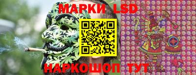 гашик Новозыбков