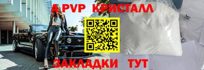 гашик Новозыбков