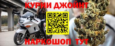 гашик Новозыбков