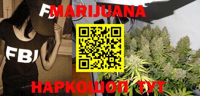 гашик Новозыбков