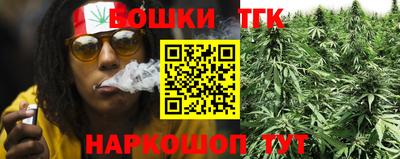 гашик Новозыбков