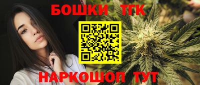 гашик Новозыбков