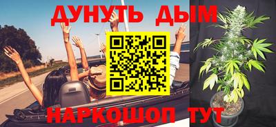 гашик Новозыбков