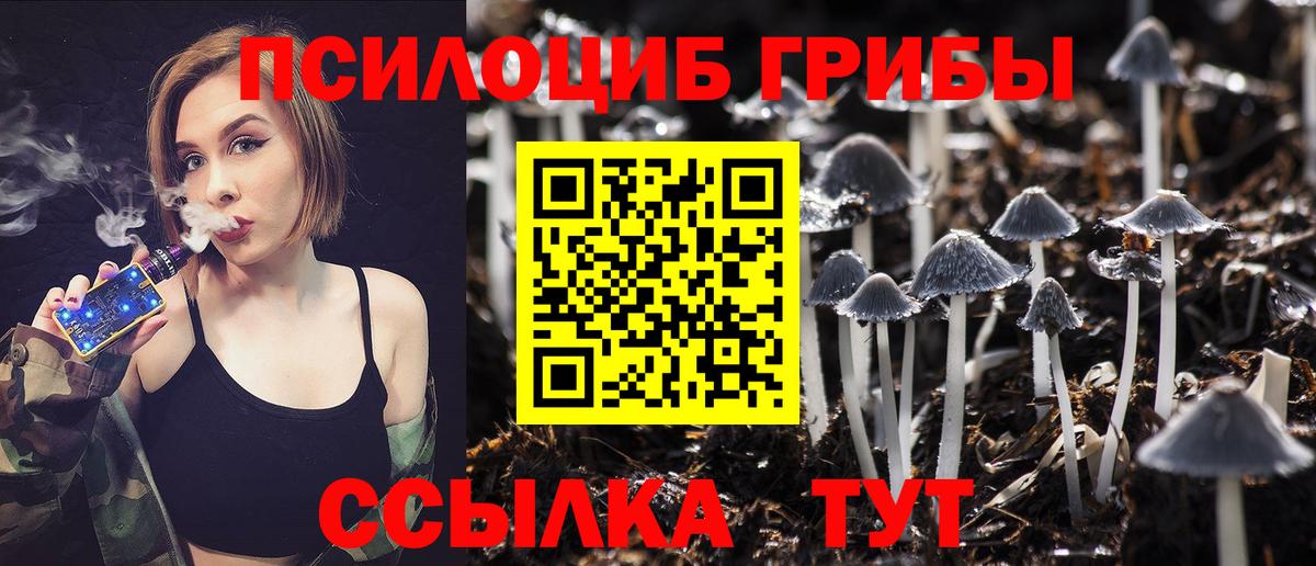 Псилоцибиновые грибы Psilocybine cubensis  Вход с VPN  Светлоград  Галлюциногенные грибы Psilocybine cubensis 