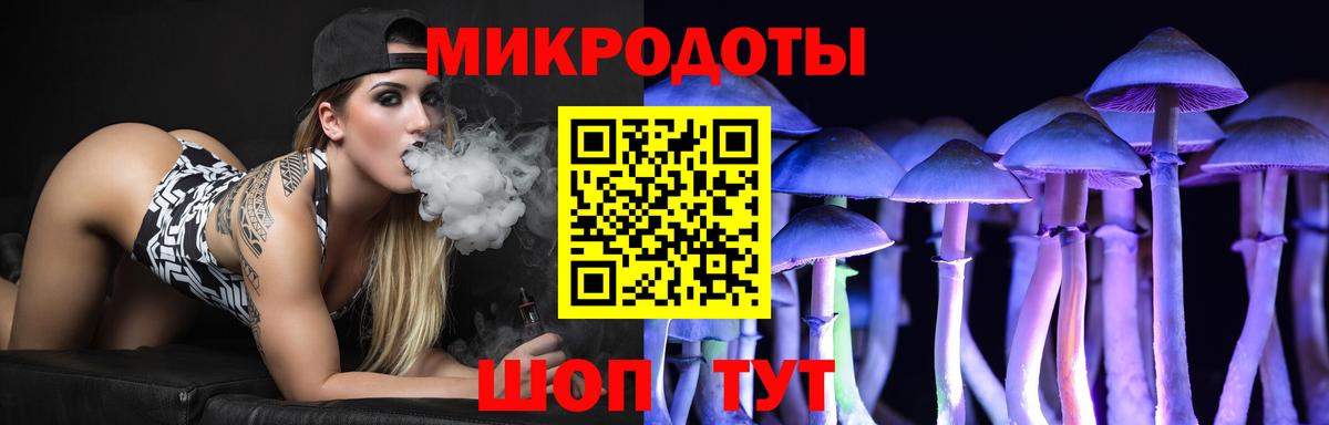 Галлюциногенные грибы Cubensis Светлоград